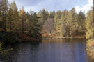 View: ct09264 Tarn Hows has conifers at water edge