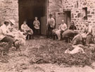 View: ct11276 Sheep shearing at Spout House Farm, Eskdale.