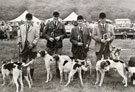 View: ct13027 Eskdale Show