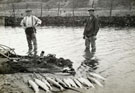 View: ct13075 Fish Garth at Ravenglass