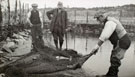 View: ct13076 Opening out the Nets, Salmon Garth at Ravenglass