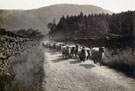 View: ct13100 The Road to Mardale Head