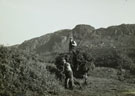 View: ct13124 Bracken Harvest