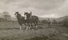 View: ct13129 Ploughing