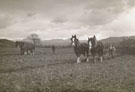 View: ct13130 Lake District Ploughing