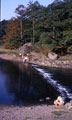 View: ct21221 Photo of the weir on the southern end of Grasmere 