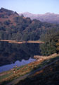 View: ct21231 Rydal Water with Fairfield Horseshoe in background