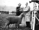 View: ct29450 Westmorland County Show