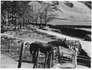 View: ct31686 At the foot of Honister Pass