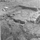 View: ct33549 Excavation of the Roman Wall near Drawdykes 418588