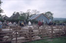 View: ct52140 Greenholme Show