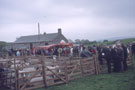 View: ct52141 Greenholme Show