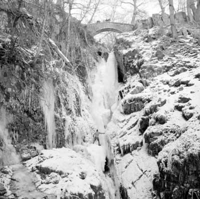 Aira Force